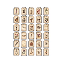 30 Adet Vintage Botanik Ve Antika Sticker Seti - Laptop Ajanda Scrapbook Çok Renkli