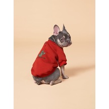 Cacti Küçük ve Orta Irk Köpekler İçin Köpek Sweatshirt