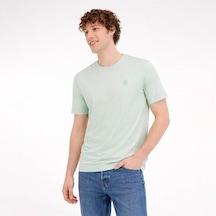 Mint Yeşili