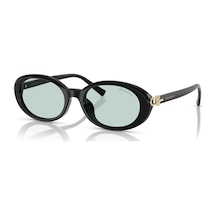 Tf 4242d 8001d9 54 Tiffany & Co. Güneş Gözlüğü Siyah