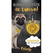 Petjoo 9.Konfüçyüs Sarı-Gri Qr'lı Köpek Künyesi
