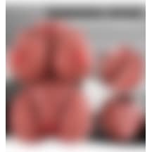 Erotixshop Manken Büyük Göğüslü Realistik Titreşimli Vajina 1 KG