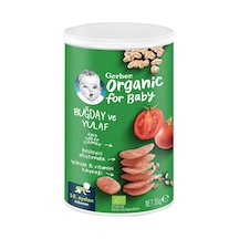 Gerber Organik Buğdaylı Yulaflı Kraker 35 G - 5 Adet Tarı