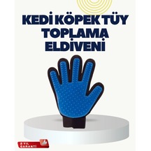 Zenvia Yumuşak Silikonlu Kedi Ve Köpek Tüy Toplama Eldiveni Masaj Etkili Tüy Dökülme Önleyici Znv2026
