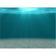 Kanki Pet KP8550006 Akvaryum Arka Fon Yapıştırma 85 CM