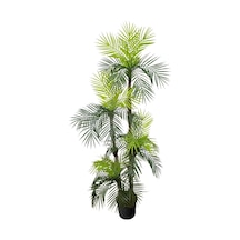 Areka Yapay Ağaç 4 Gövde 4 Baş 170cm Lifli, Saksılı Diğer