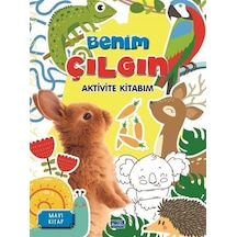 Benim Çılgın Aktivite Kitabım - Mavi Kitap / Kolektif