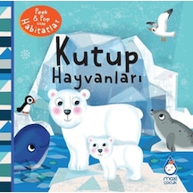 Kutup Hayvanları - Ybve-877733