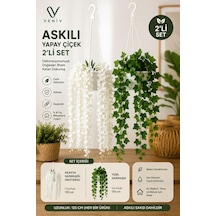 Renkli
