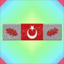 Muharebe Yaralisi Şerit Rozeti Gümüş