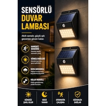 Dp-53 Duvar Lambası - Lisinya