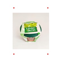 Kendin Dik Ni Saksı Seti Taze Maydanoz Yetiştirme