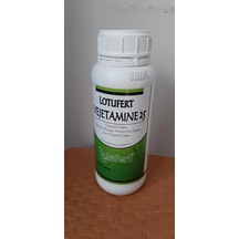 Ortanca Çoşturan-Vejatamine35--1L