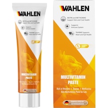 Wahlen Multivitamin Kedi Macunu 100 Gr