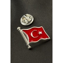 Gümüş Rengi
