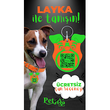 Petjoo 22.Layka Yeşil-Turuncu Qr'lı Köpek Künyesi