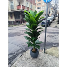 Rüzgar Yapay Çiçekçilik 170 Cm Difenbahya Ağacı Beyaz Saksı Yeşil