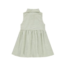 Mint Yeşili