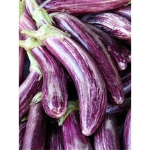 100 Adet Tohum Nadir Çizgili Uzun Yalova Kemer Patlıcan Tohumu Saksı Toprak Hediyeli