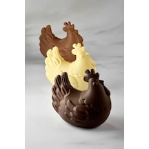 Pavoni Kt228 Thermoformed Kit 400x300 Mm Çikolata Kalıbı Kahverengi