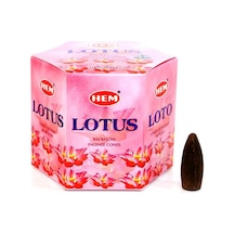 Hem Geri Akışlı Şelale Tütsü Konileri Lotus Çiçeği Aromalı 40 Adet