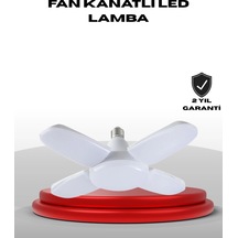 Çok Renkli