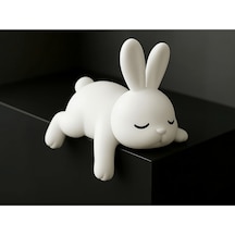 Sevimli Uyuyan Tavşan Özel Tasarım - Lazy Edge Beasts Figürü