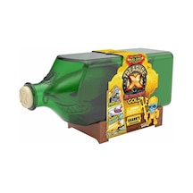 Treasure X Korsan Hazinesi Köpekbalığı