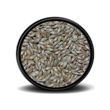 Vivid Sade Kanarya Yemi (Aspur) 1kg