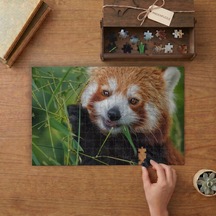Bambu Yiyen Kızıl Panda Tasarımı 240 Parça Ahşap Puzzle Ahşap Kutuda Mpy60059