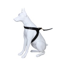 Dog Harness Siyah, 52-64 Cm