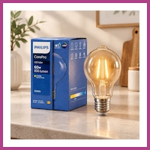 Gees Global Filament Rustik G93 E27 Led Ampul 2700k Gbzs