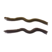 Fladen Vermz Kum Solucanı 9.5 Cm 15p