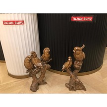 Dalda Duran Kuş Bibloları