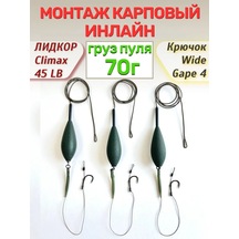 Carpspot Climax Lidcore İçin 70 Gr Carp Montajı Inline Bilye Kurşun 472719682