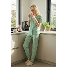 Mint Yeşili