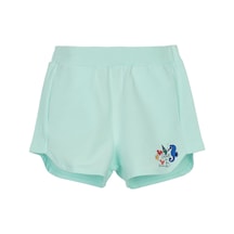Mint Yeşili
