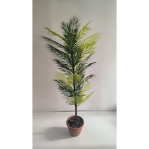 Rüzgar Yapay Çiçekçilik Areka Palmiyesi 150 Cm Yesil