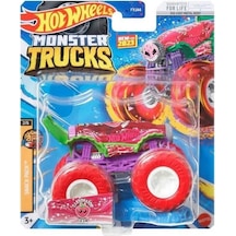 Hot Wheels Monster Trucks 1:64 Araba Fyj44-hlr88 Nocolor
