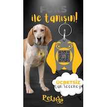 Petjoo 29.Foks Sarı-Gri Qr'lı Köpek Künyesi