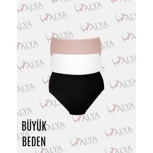 Çok Renkli