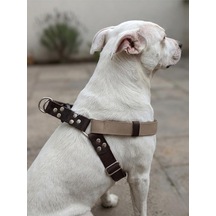 Köpek Göğüs Tasması Büyük & Dev Irk Ayarlamalı Kolon Kordon Ve Nubuk Deri Kahverengi & Vizon Genel