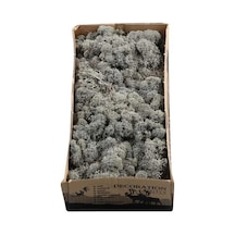 Reindeer Moss Antrasit Şoklanmış Norveç Yosunu 250gr