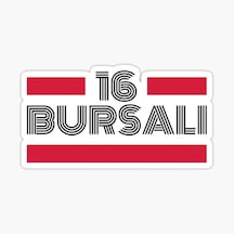 16 Bursalı Plaka Araba Sticker Yapıştırması