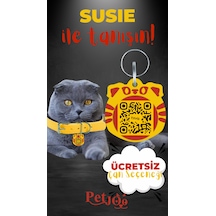 Petjoo 3.Susie Kırmızı-Sarı Qr'lı Kedi Künyesi