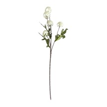 T.concept Dekoratif Yapay Yıldız Çiçeği 50 Cm Beyaz
