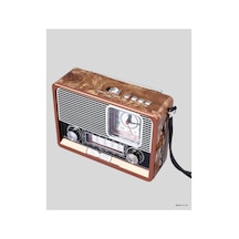 Muratech Dekoratif Vintage Radyo Klasik Görünüm, Modern Fonksiyon Ve Uzun 10425 Ömürlü Kullanı Renkli
