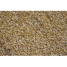 Kanarya Yemi 5 KG ( Sade )