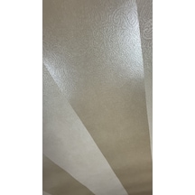 21426 Avalon 5 M2 Duvar Kağıdı Çok Renkli