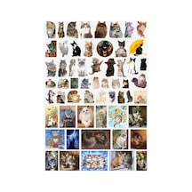 58 Adet Sevimli Kediler Sticker Seti - Etiket Seti Scrapbook Bullet Journal Çok Renkli